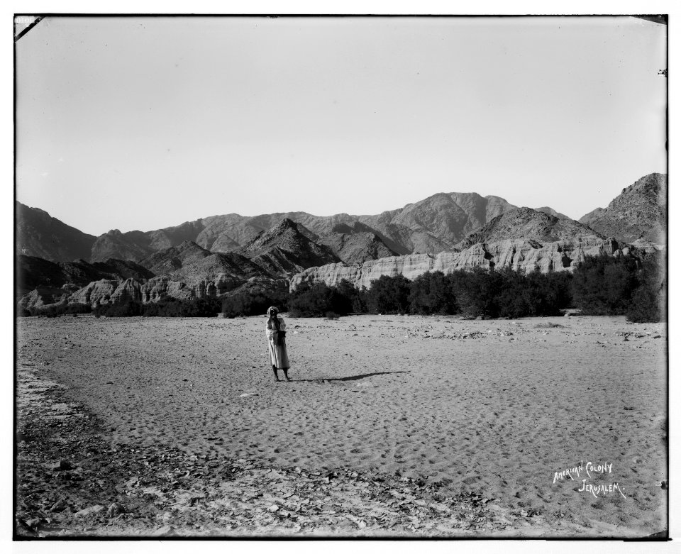 Sinai. Gravel terraces in Wady Feiran. LOC matpc.07235