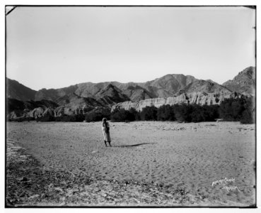 Sinai. Gravel terraces in Wady Feiran. LOC matpc.07235