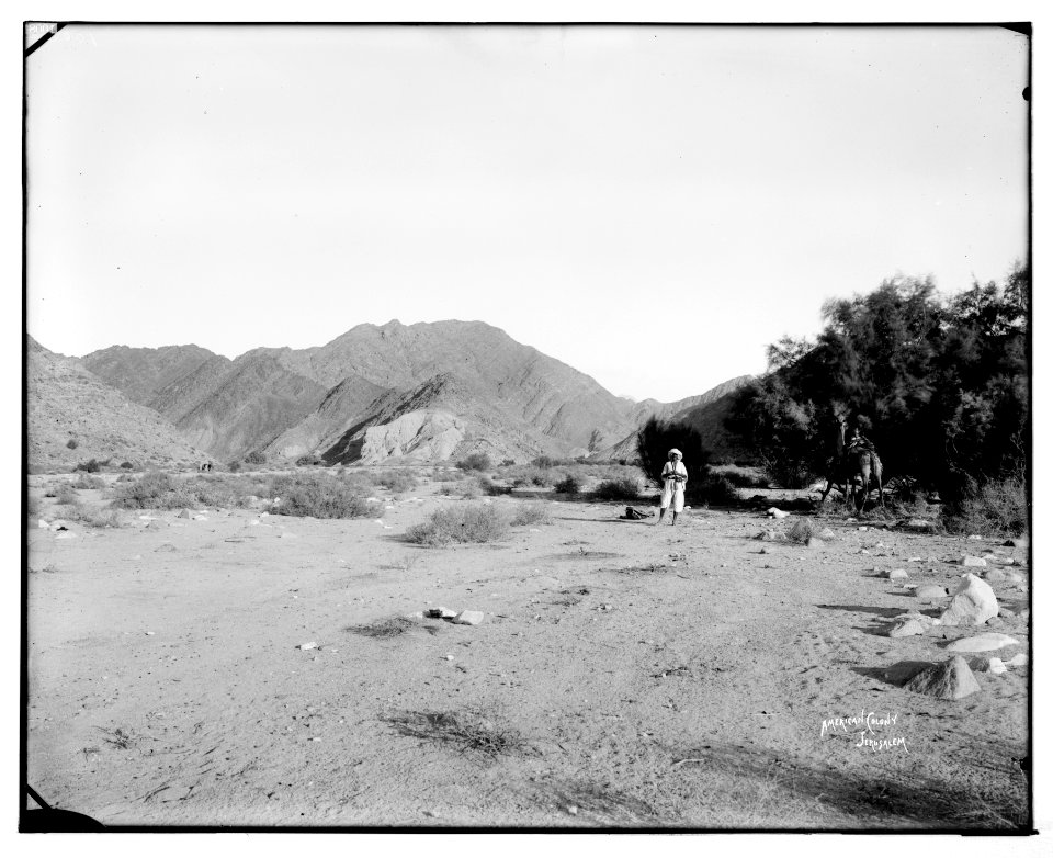 Sinai. Junction of Wady Esh-Sheikh and Wady Slaf. LOC matpc.07231