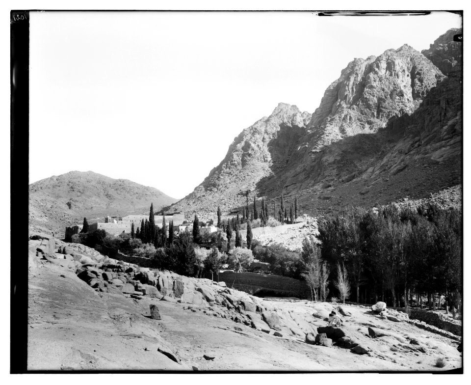 Sinai. Monastery of St. Catherine. LOC matpc.07251