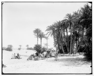 Sinai. Caravan at el-Wad preparing to cross the desert. LOC matpc.07226