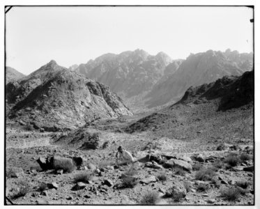 Sinai. Panorama of the Sinai Mountains from Nakb-el-Hawa. LOC matpc.07243