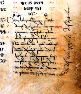 Sinai Collection (7)