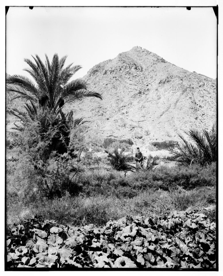 Sinai. Jebel Tahuneh (Hill of Moses). LOC matpc.07238