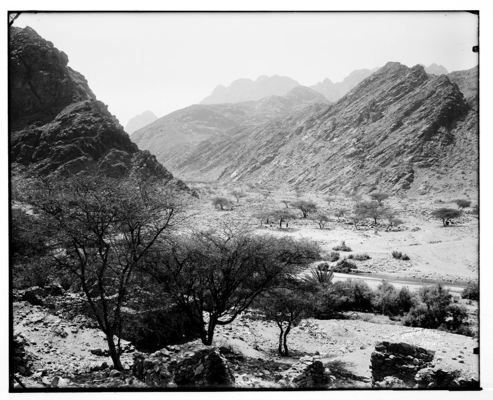 Sinai. Junction of Wady Feiran and Wady Aleyat. LOC matpc.07240