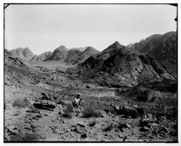 Sinai. Panorama of the Sinai Mountains from Nakb-el-Hawa. LOC matpc.07242