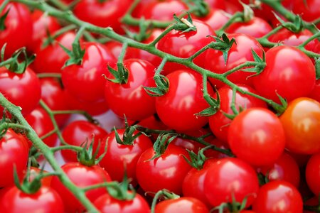 Sweet aromatic fresh