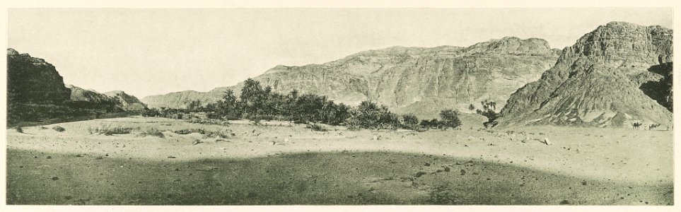 Sinaihalbinsel Oase Ḥuḍr. 1914. LCCN2014648783