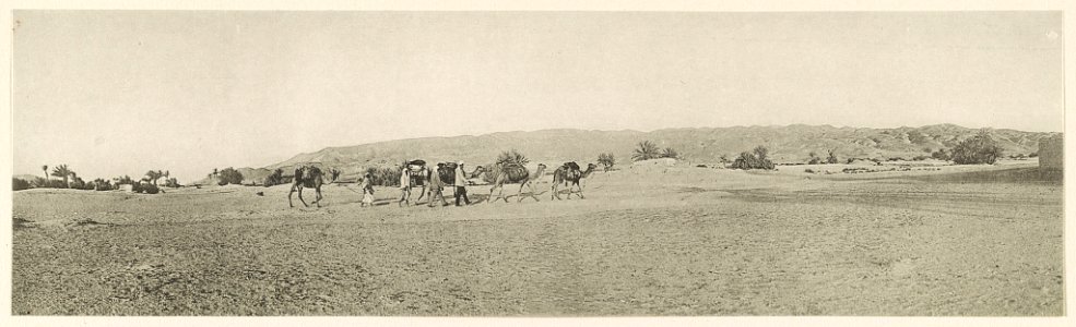 Sinaihalbinsel Westseite, Landschaft nördlich von Ṭôr. 1910. LCCN2014648792