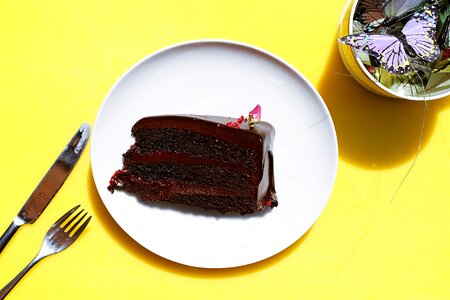 Plate chocolate cake photo