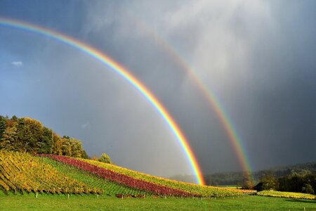 Nature mood sky photo