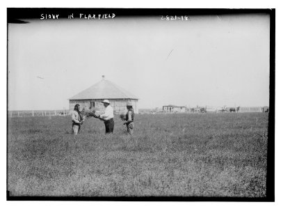 Sioux in Flaxfield LCCN2014694177