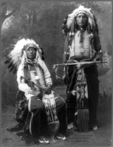 Sioux warriors LCCN2002715251