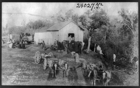 Sioux Indians getting beef rations. LCCN2016648630