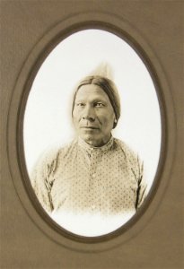 Sioux Chief Black Bull by D. F. Barry