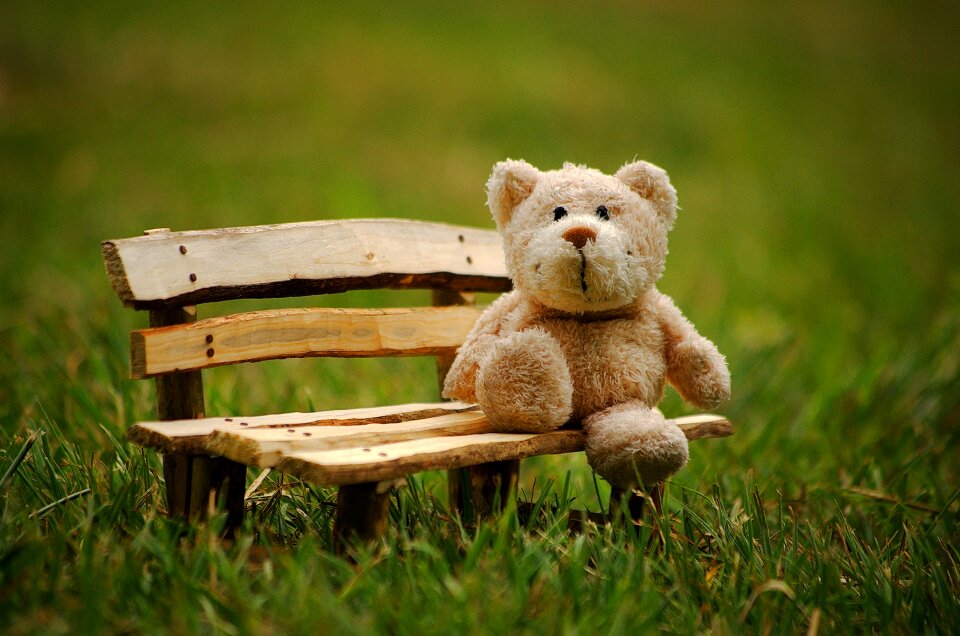 Teddy bear bears cute