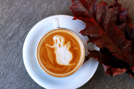 Art latte froth photo