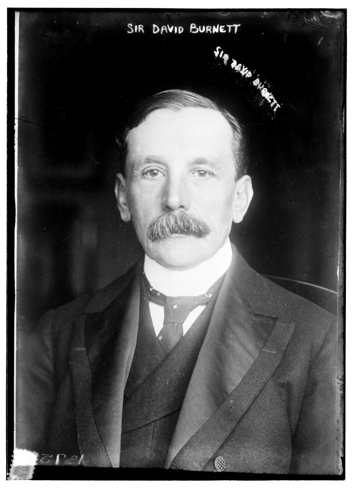 Sir David Burnett LCCN2014687485