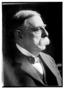Sir Davison Dalziel LCCN2014717289