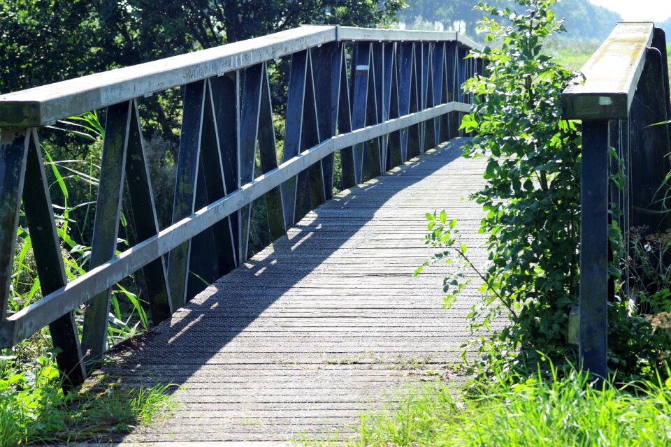 Bridge nature path