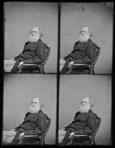 Sir Frederick Bruce, British Minister - NARA - 525348