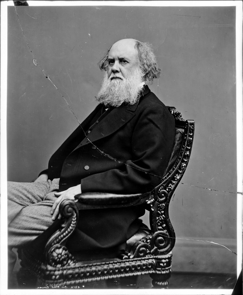 Sir Frederick Bruce, British Minister - NARA - 528355
