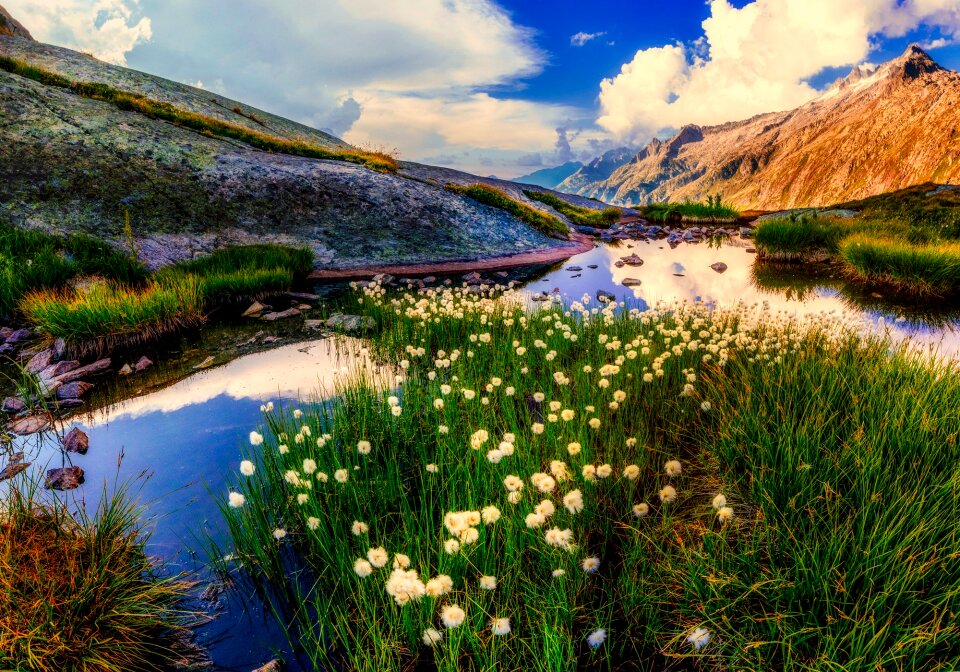 Lake water reflections