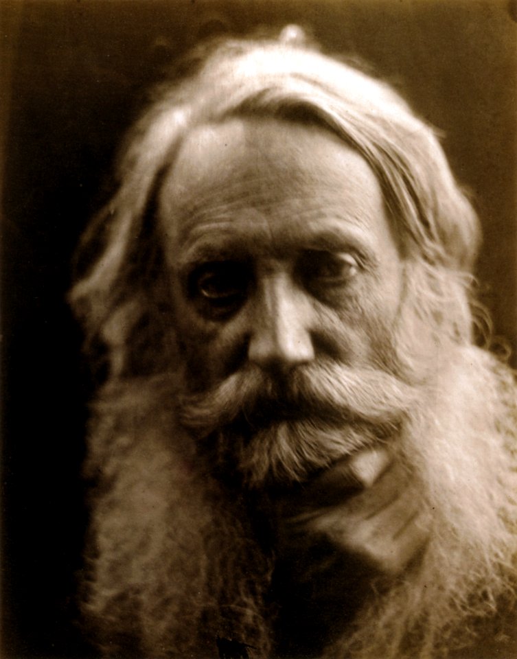 Sir Henry Taylor, by Julia Margaret Cameron