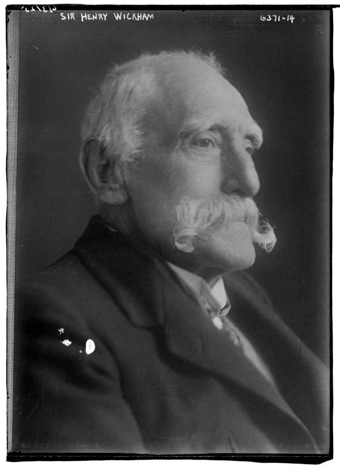 Sir Henry Wickham LCCN2014718318