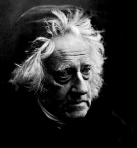 Sir John Herschel with Cap by Julia Margaret Cameron (detail) photo