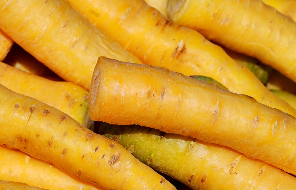Carrots raw fresh