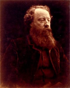 Sir John Simeon (Bart), by Julia Margaret Cameron