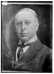 Sir Robt Chalmers LCCN2014701708