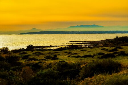 Nature dusk evening