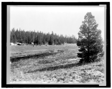 Site of Camp Cowen LCCN2007676204