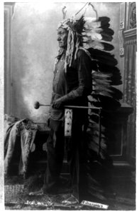 Sitting Bull LCCN2002718007