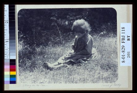 Sitting in the sun - Sarah J. Eddy, Providence, R.I. LCCN2004676219