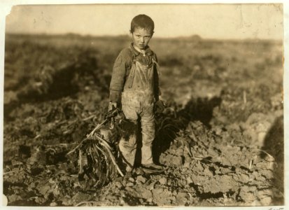 Six-year old Jo, pulling beets for his parents on a farm near Sterling, Colo. This is very heavy work for such little ones, but many do it. LOC cph.3a31147