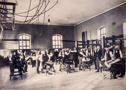 Sjukgymnastik Gymnastiska Centralinstitutet Stockholm ca 1880 gih0143