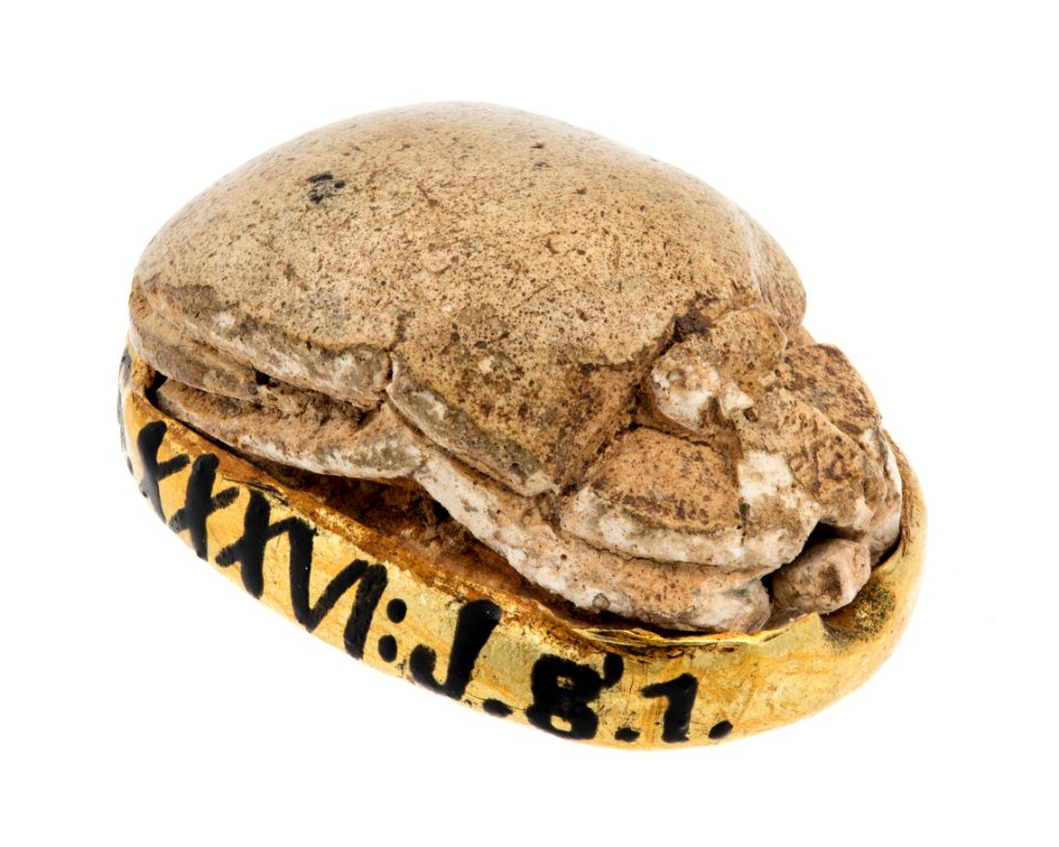 Skarabé av ljusgrå späcksten med guldfattning, Egyptisk forntid - Hallwylska museet - 110254