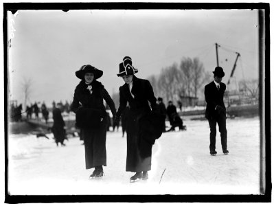 SKATING PARTY LCCN2016863488