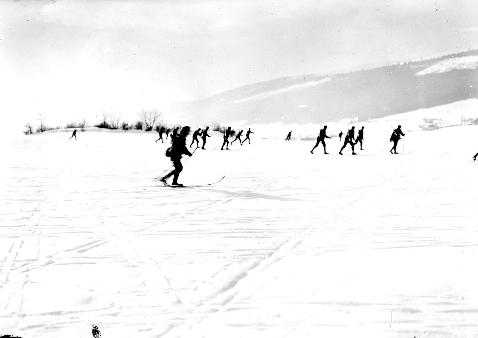 Skifahrer beim Vorrücken in offener Formation - CH-BAR - 3238058