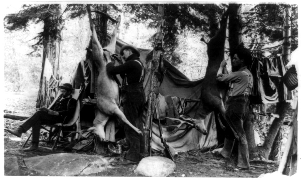 Skinning the deer LCCN89716354