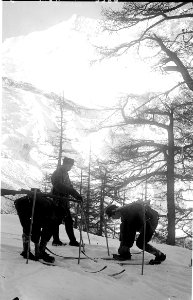 Skipatrouille auf dem Plattye - CH-BAR - 3237158