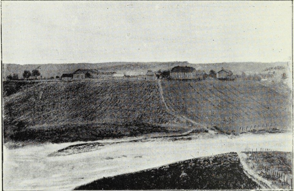 Skiptvet herred 1814–1914, s. 148 – Skog
