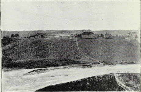 Skiptvet herred 1814–1914, s. 148 – Skog photo