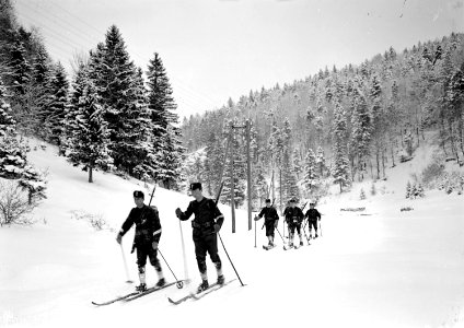 Skipatrouille im Jura - CH-BAR - 3238014