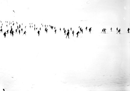 Skifahrer beim Vorrücken in offener Formation - CH-BAR - 3238059
