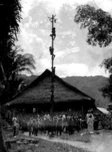 Skolbarnen få klättra på såpad stång. Kulawi, Sulawesi. Indonesien - SMVK - 022138