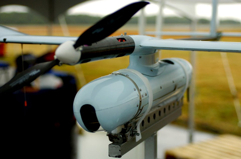 Skylark 1 close up
